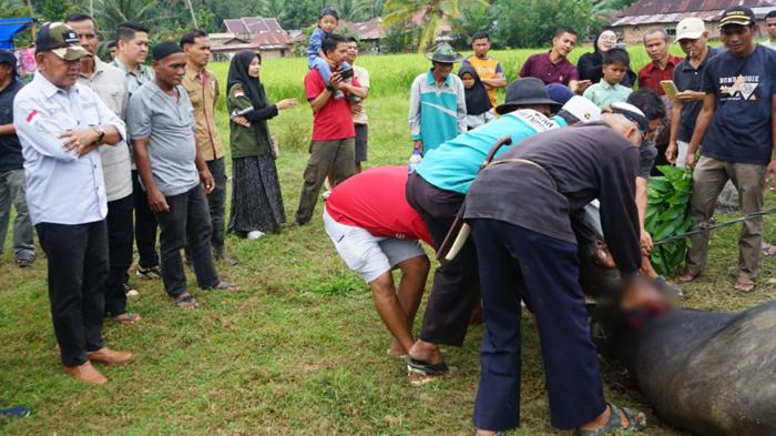 Mengenal Tradisi Bantaian Adat di Merangin dalam Menyambut Bulan Suci Ramadan