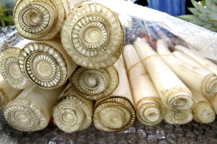 Dampak Luar Biasa Gedebog Pisang, Digunakan Untuk Tangkal Diabetes dan 4 Gangguan Kesehatan Lain