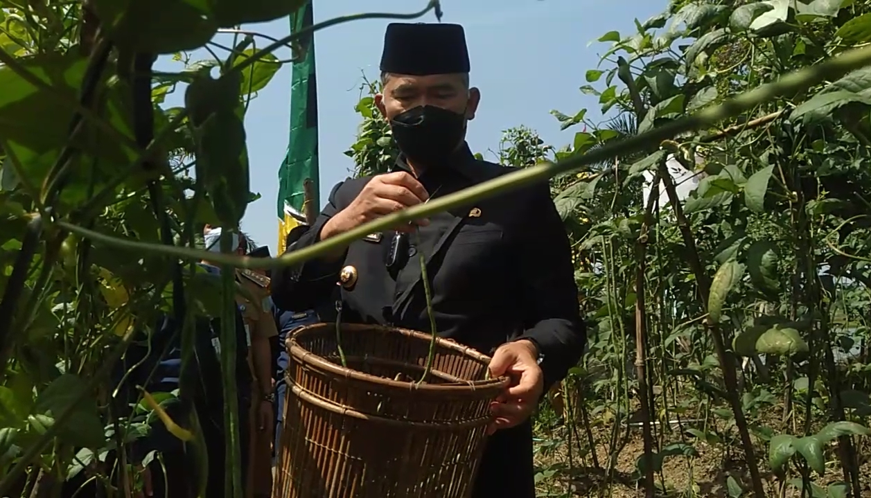 3.000 Meter Persegi Lahan di Danau Teluk Kota Jambi Bakal Disulap Jadi Ekowisata oleh Pemkot Jambi