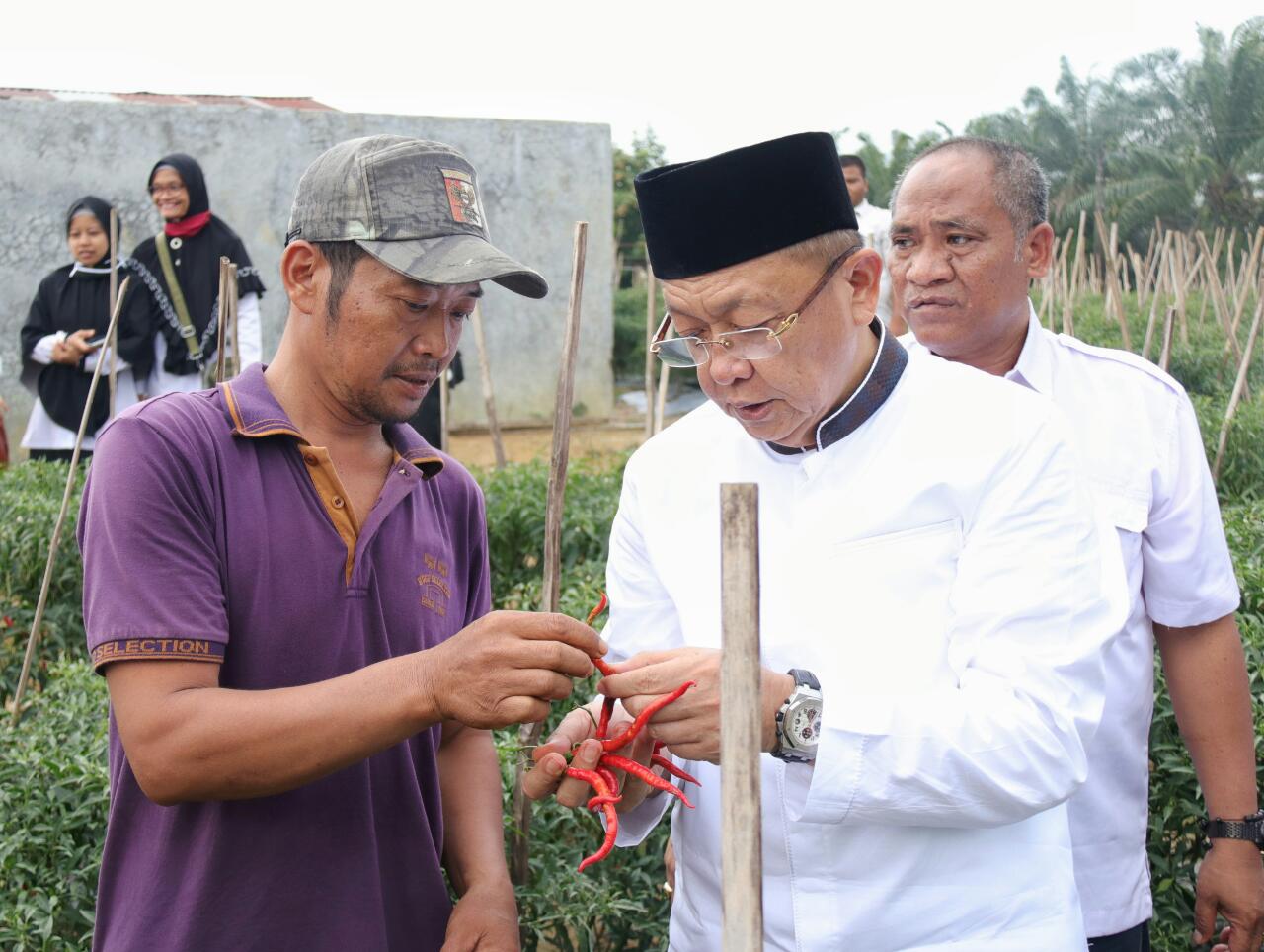 bupati-sarolangun-yang-juga-bakal-calon-gubernur-jambi-h-cek-endra-melakukan-pembinaan-kepa.jpg