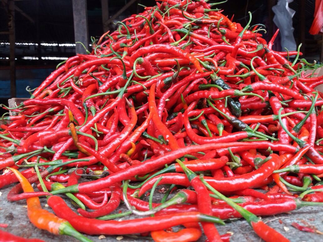 Harga Cabai Merangkak Naik, Pedagang di Kerinci Sambut Gembira, di Tingkat Petani Harga 40 Ribu