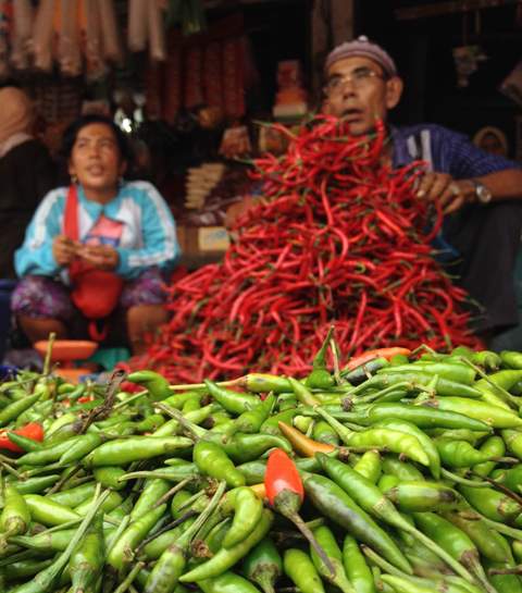 cabai-rawit-dan-cabai-merah-angso_20150421_111752.jpg