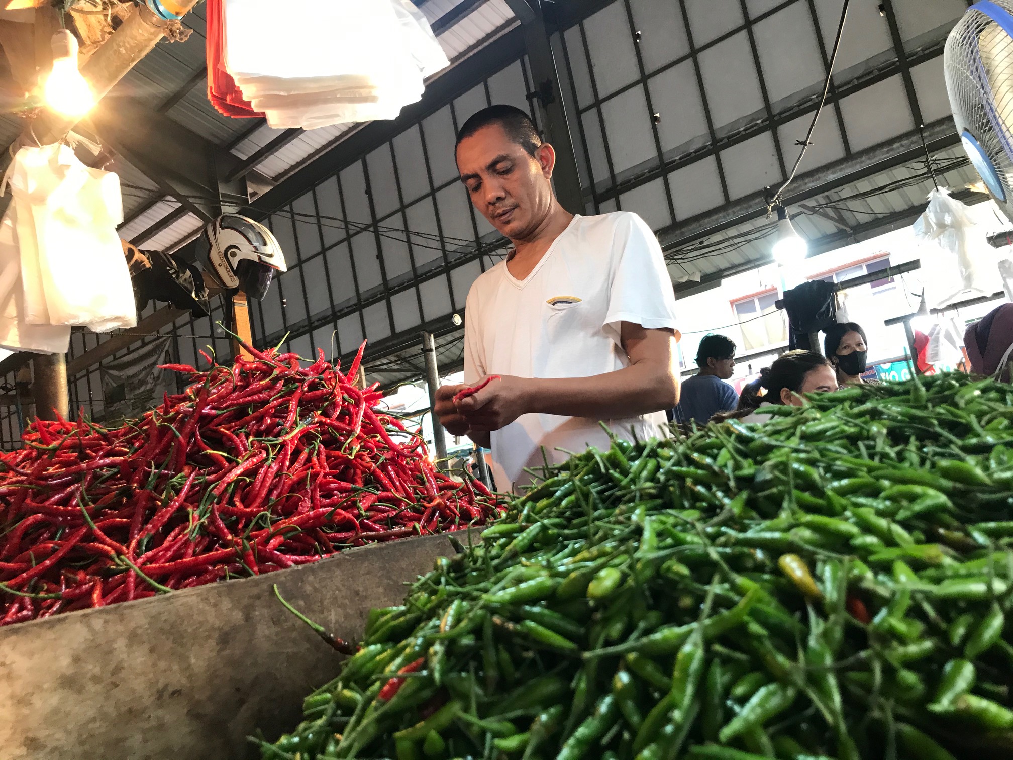 BPS Sebut NTP dan NTUP Provinsi Jambi Periode Maret Menurun