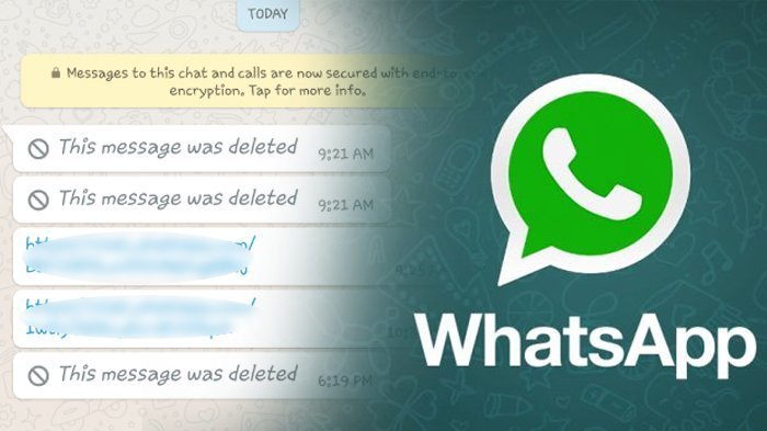 cara-mengembalikan-pesan-whatsapp-wa-yang-tak-sengaja-terhapus-ikuti-langkah-mudah-ini.jpg