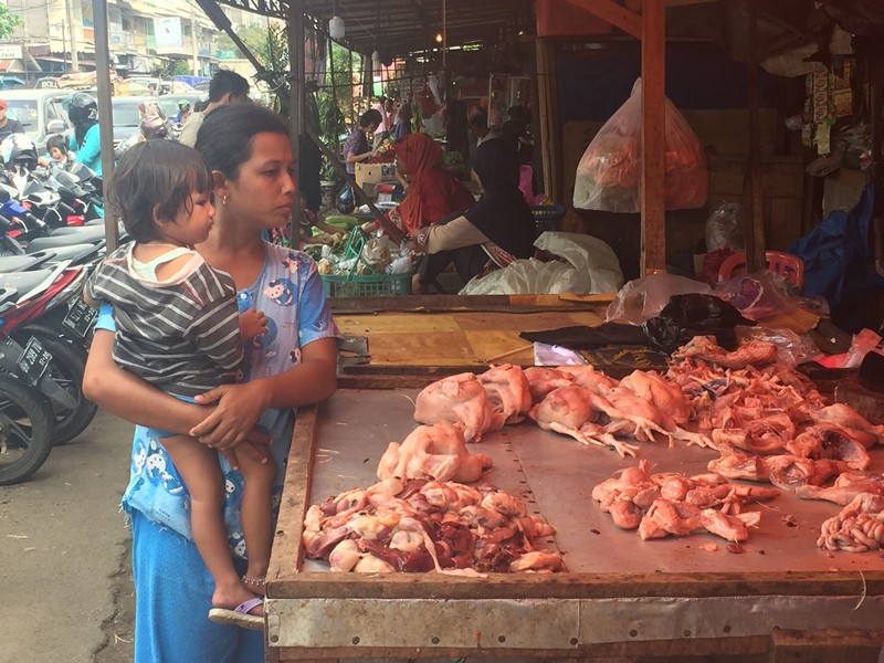 Harga Daging Ayam Tinggi, Kadis Peternakan Tanjabbar: Ini Karena Penggunaan Obat Dilarang, Tapi