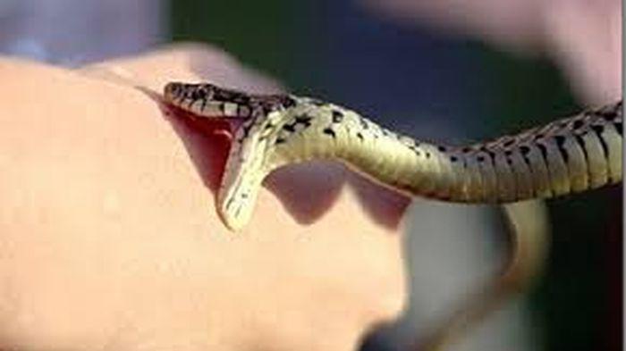 Ular ayolni mast qilib, eshagi bilan sikishdi. Ular ayolni mast qilib, eshagi bilan sikishdi.