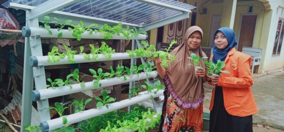 Unja Beri Pelatihan Hidroponik Vertukultur di Mendalo Darat, Puluhan Ibu PKK Antusias Sampai Akhir