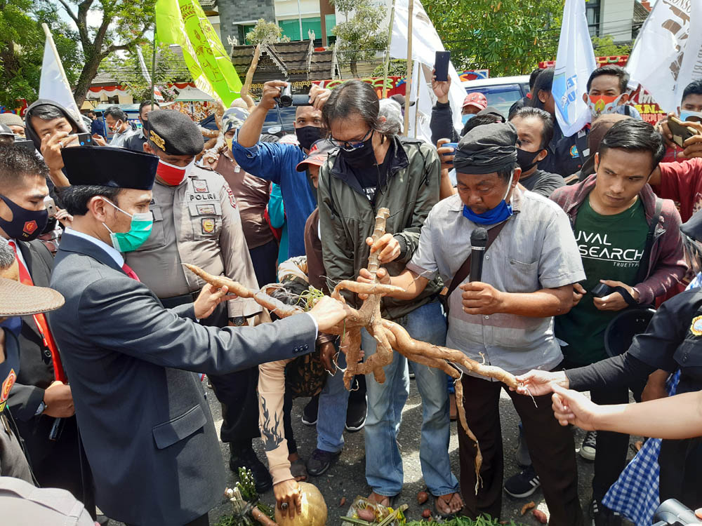 Bawa dan Berikan Hasil Pertanian ke Ketua DPRD Provinsi Jambi, Massa Gestur Tolak RUU Omnibuslaw