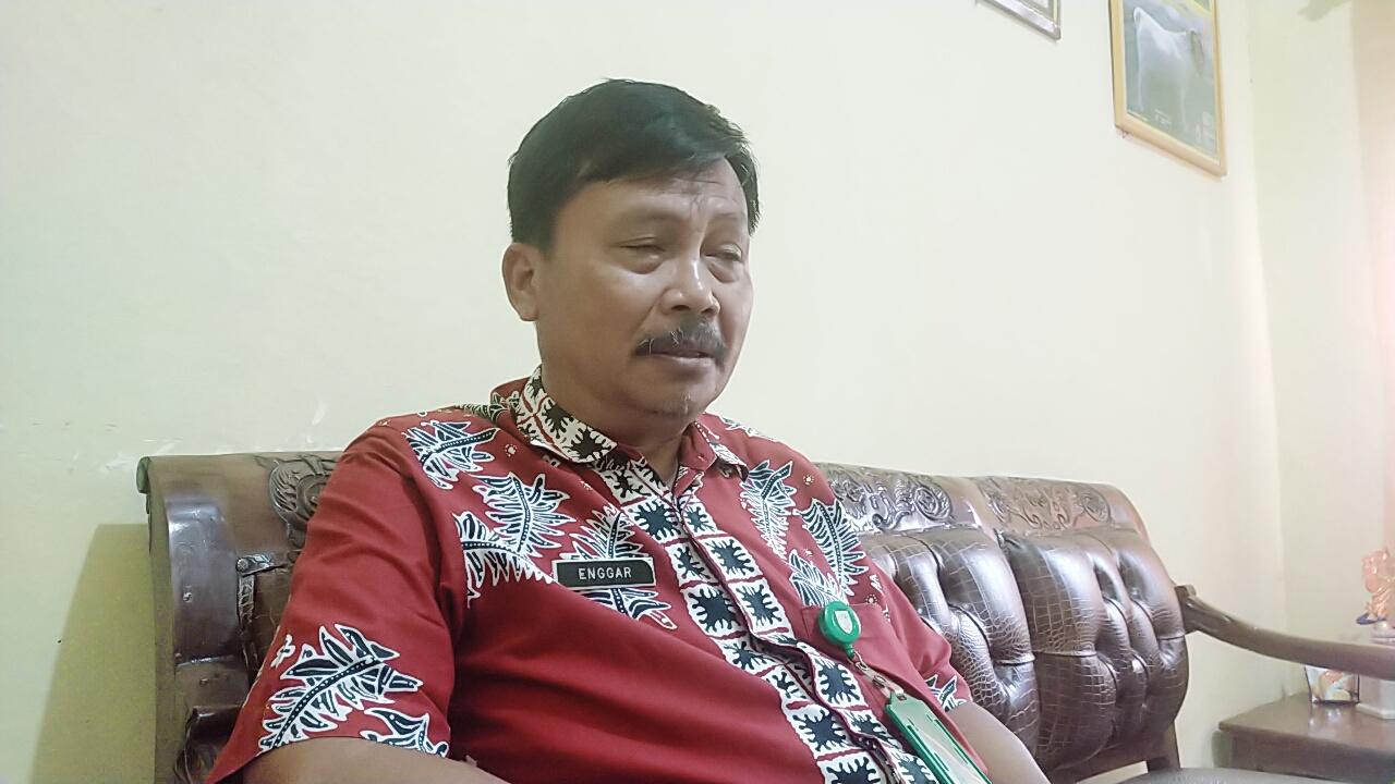 Stok Hewan Kurban di Kabupaten Bungo Lebih dari Cukup, Harga Tergantung Ukuran