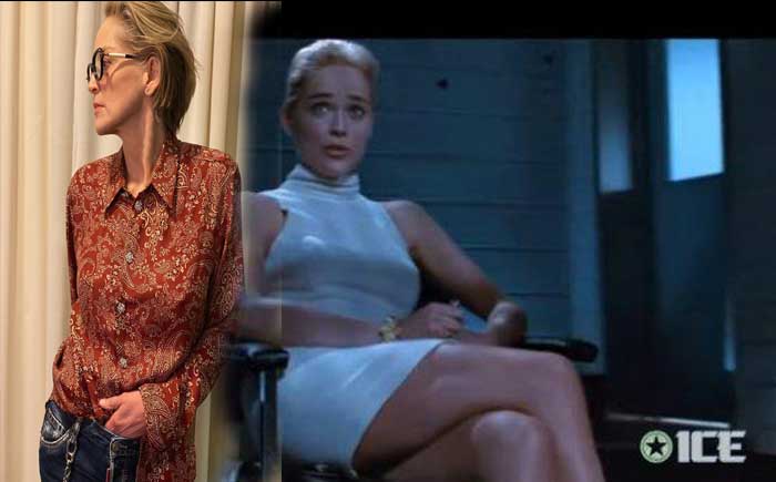 Profil Sharon Stone yang Memulai Karirnya dari Model Hingga Karirnya Melejit Lewat Basic Instinct