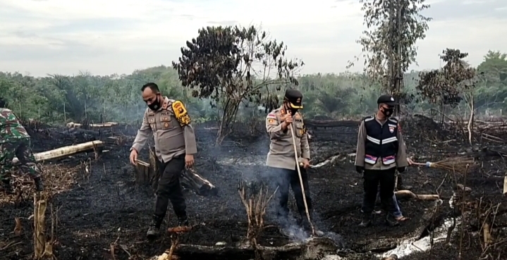 Polda Jambi Catat 57 Kasus Kebakaran Hutan dan Lahan hingga Awal Juli 2021 & Data Daerah Rawan