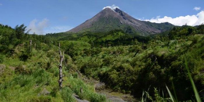 9 Makhluk yang Menunggu Gunung Merapi Menurut Warga Lereng