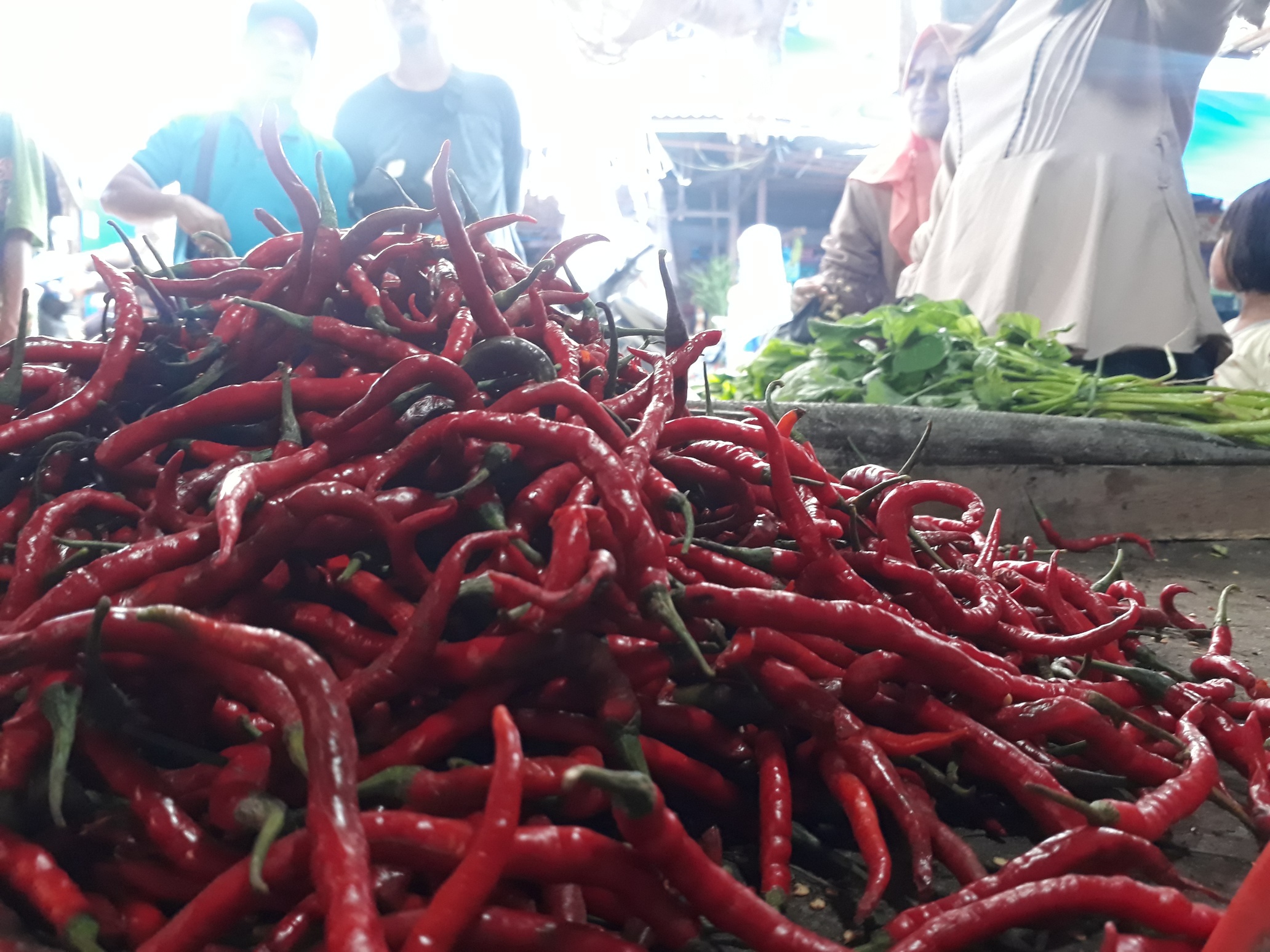 Awal Tahun Harga Cabai Merah di Jambi Tembus Rp 100 Ribu Perkilo Ini Penjelasan Sekda Provinsi Jambi