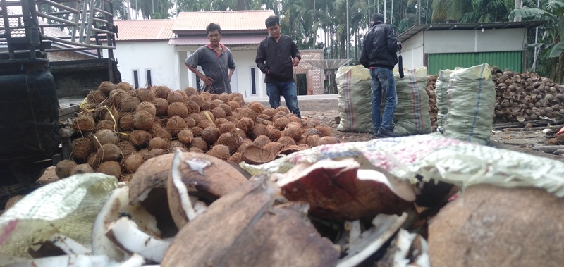 Harga Kopra di Jambi Hari Ini, Kenaikan Rp 50 Jadi Rp 2.550 per Kg, Ini Faktanya