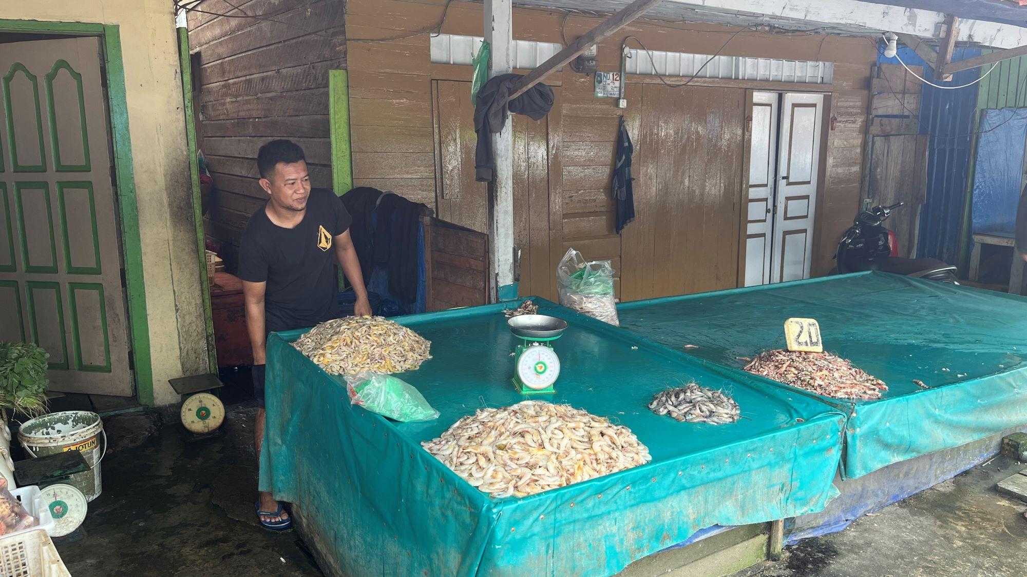 Harga Udang di Tanjab Barat Turun Rp5 Ribu, Dampak Musim Tenggara - Tribunjambi.com
