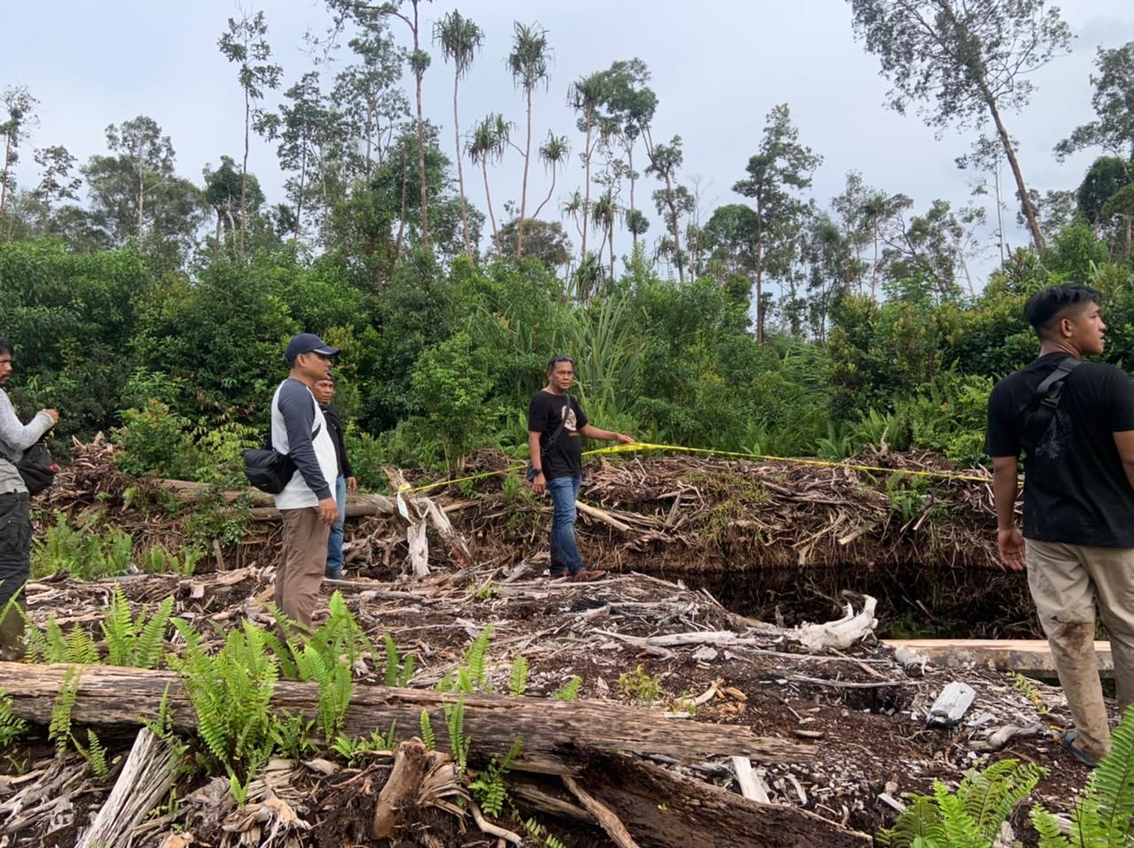 Polda Jambi Ungkap Illegal Logging di Perbatasan Jambi-Sumsel, Temukan Ratusan Kayu Tak Bertuan