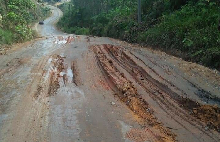 Pemkab Tebo Mulai Lelang Pengerjaan Fisik Melalui ULP, Nilai Rp 11 Miliar