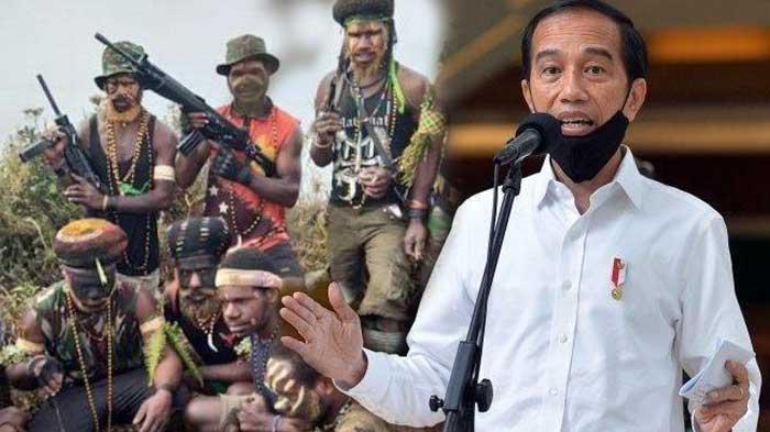 Semua Pendatang di Papua Akan Dimusnahkan, KKB Papua Marah Karena Presiden Jokowi Bersikap Begini