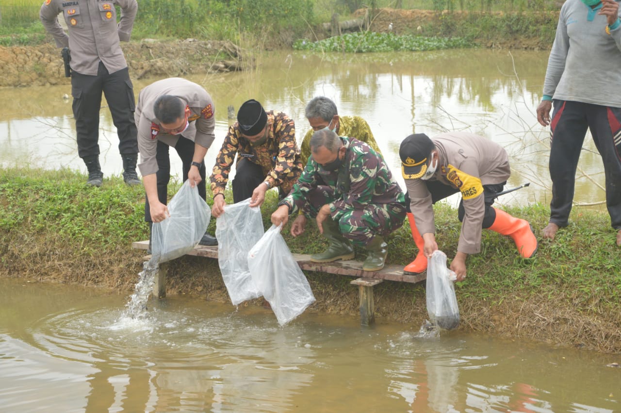 kapolda-jambi-irjen-pol-firman-shantyabudi-saat-panen-raya-di-tanjabbar.jpg