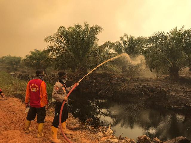 Terbakar Lagi, Karhutla Masih Mengancam