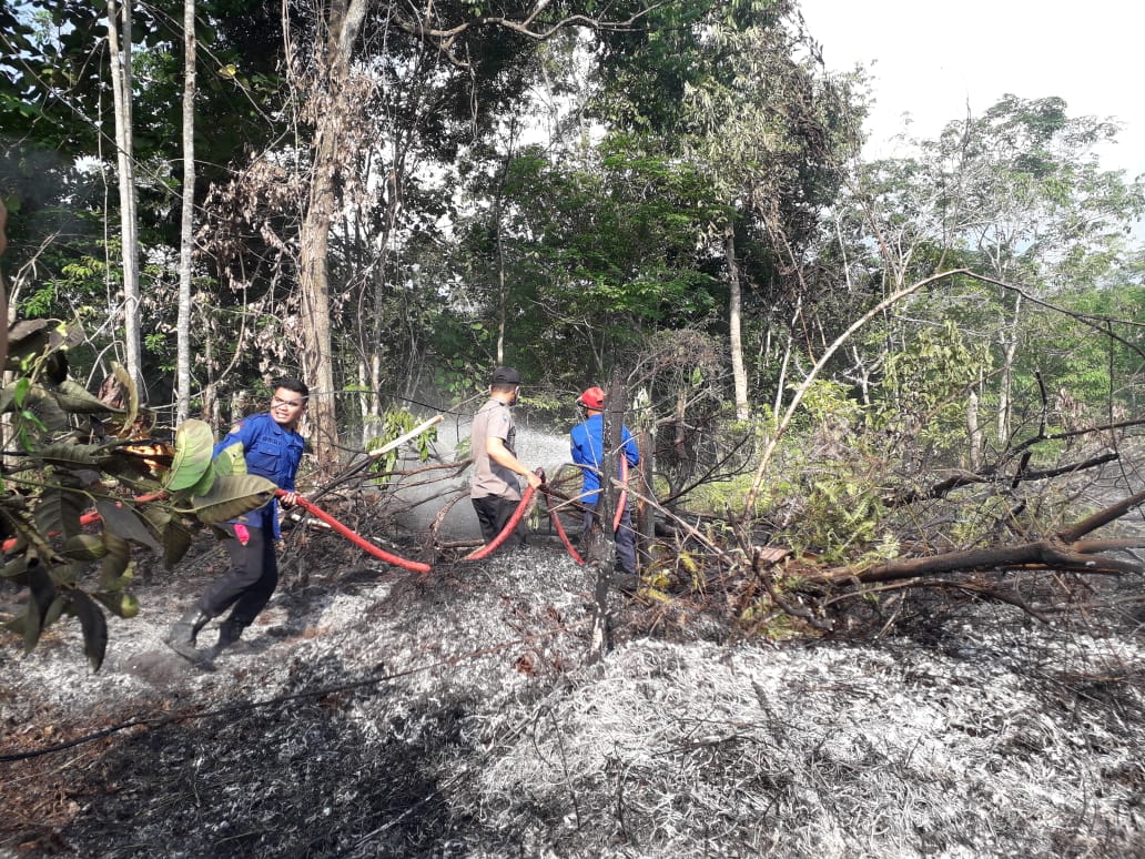 Sepekan Terakhir Terpantau 20 Titik Api, Status Siaga Darurat Karhutla di Sarolangun Diberlakukan