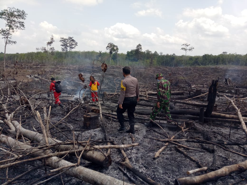 Karhutla di Sarolangun 43 Kali Terjadi, Dandim Sebut 84 Titik Api di 22,75 Hektare Selama Agustus
