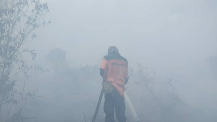 Dana Perjalanan Dinas Dipotong, Pemkab Tanjabbar Tetap Pertahankan Anggaran Karhutla untuk Covid-19