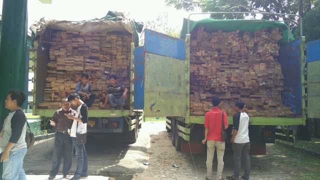 kayu-ilegal-korem_20170610_140637.jpg