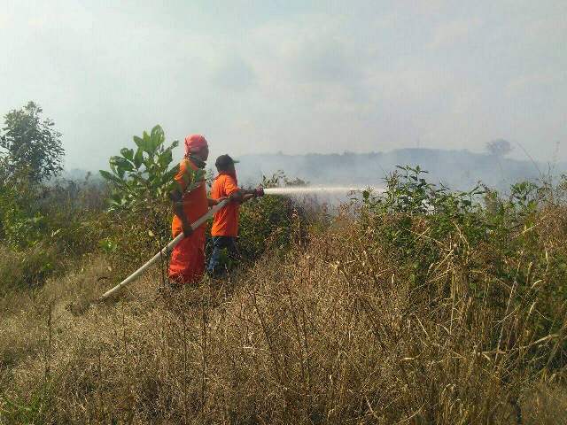 BPBD Batanghari Tetapkan 7 Perusahaan Ini Rawan Karhutlah