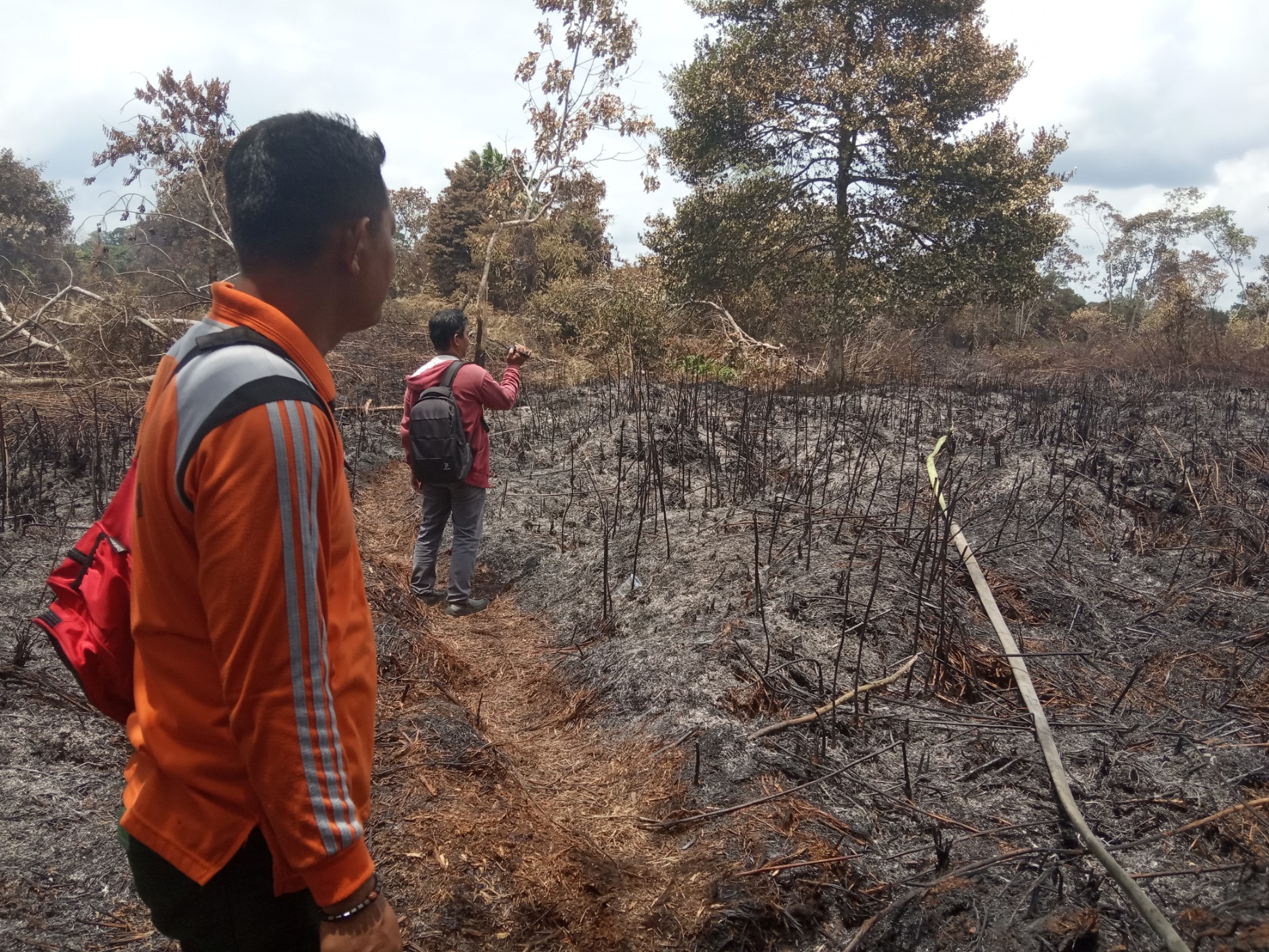 Ini Sanksi Bagi Perusahaan dan Pelaku Usaha yang Tidak Miliki Dokumen Lingkungan Hidup