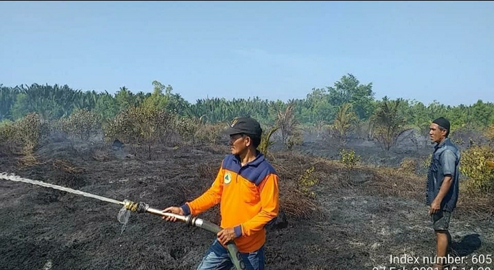 kebun-kelapa-hibrida-terbakar-karhutla-di-tanjabtim-01032021.jpg