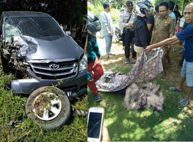 Farhan Anak Pengendara Vixion Menyusul Ayahnya, Adu Kambing Vixion dan Avanza di Babeko