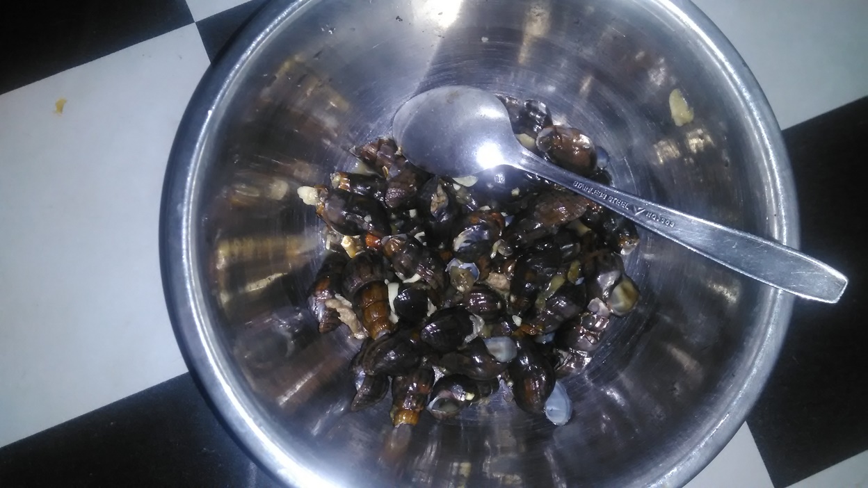 Cukup Sedot Kepalanya, Nikmati Kuyung Asem-asem, Santapan Sampingan Suku Anak Dalam