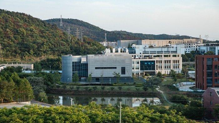 Akhirnya Terungkap Asal Usul Virus Corona, Tim WHO Ungkap Soal ini di Laboratorium Wuhan