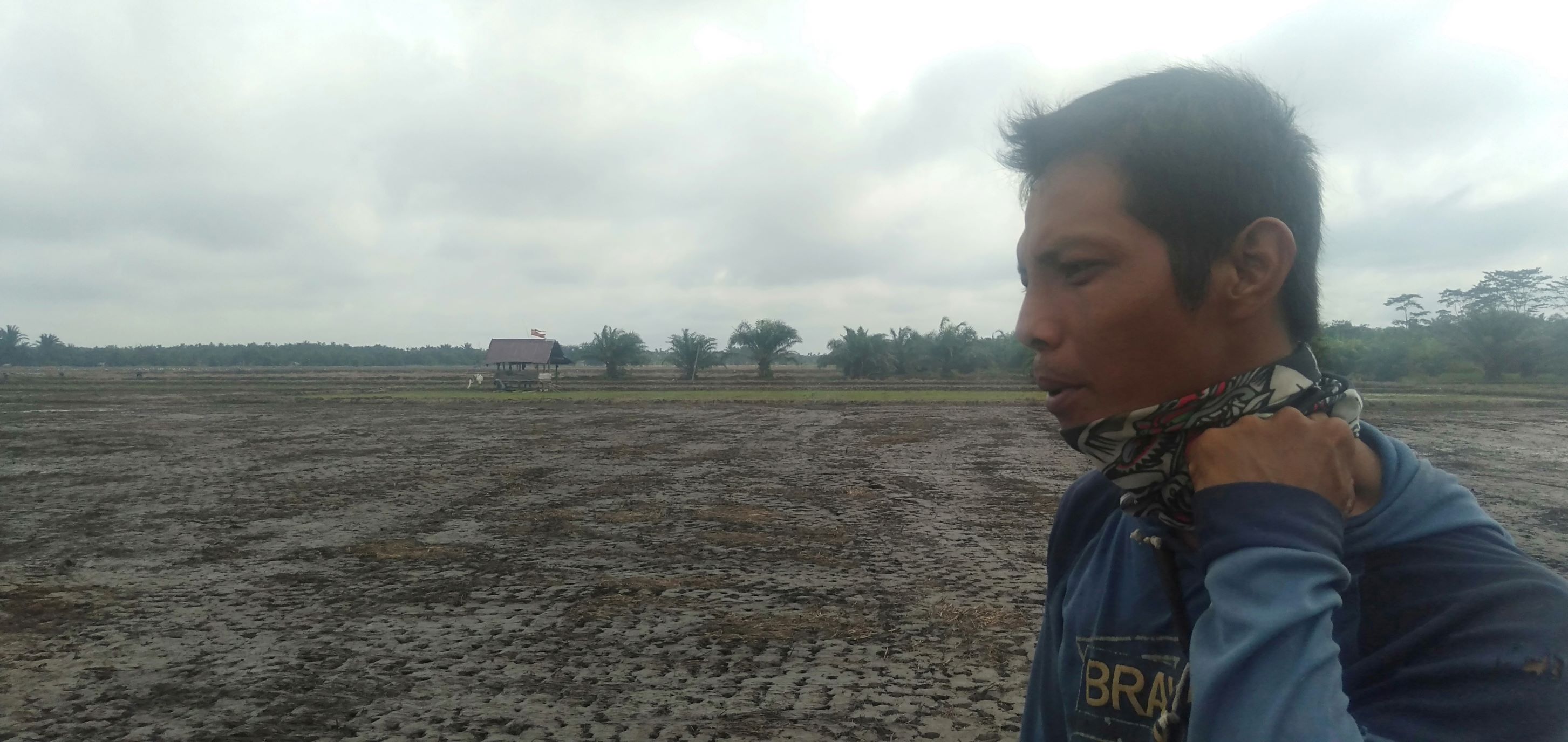 Minimnya Mesin, Petani Harus Berebutan Satu Traktor Untuk Membajak Belasan Hektare Lahan Mereka