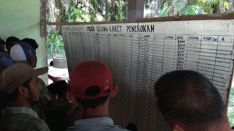 Bupati Sebut Pasar Lelang Karet di Batanghari Tak Maksimal, Ini Penyebabnya