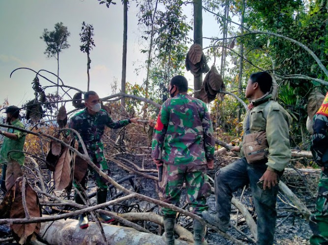 Cek Karhutla, Letkol Inf Arianto Maskare Subagio Temukan Api di Pemayungan Tebo Seluas 40 Hektar