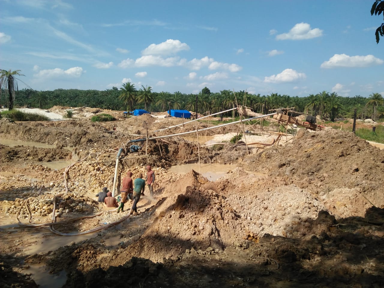 Dewan Sayangkan Banyak Lahan Pertanian di Jambi Beralih untuk PETI dan Illegal Drilling