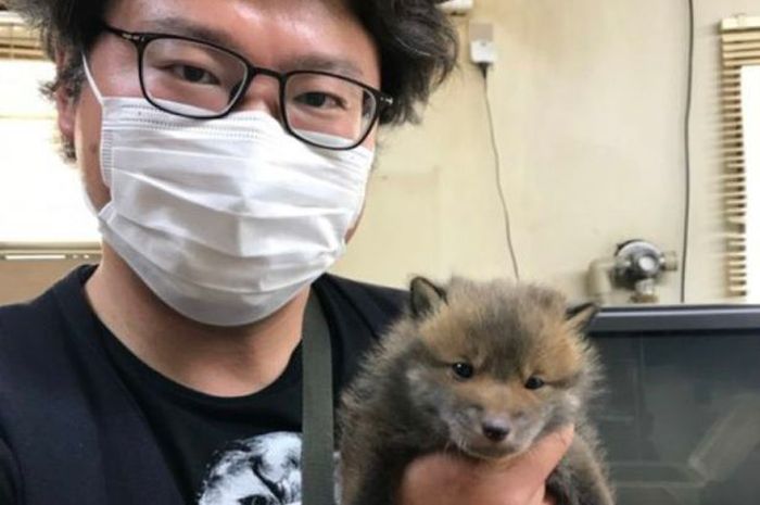 Pungut Hewan Ini Di Jalan, Pria Ini Mengira Itu Anjing, Tapi Ternyata Memeliharanya Ilegal