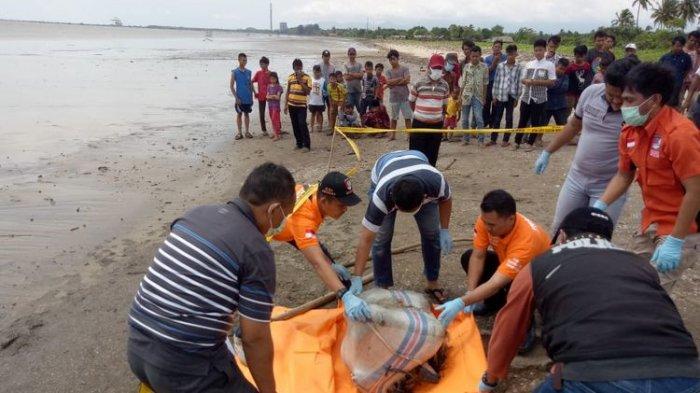 Setelah Mayat Dalam Koper, Warga Pesisir Pantai Temukan Mayat dalam Karung, Begini Kondisinya