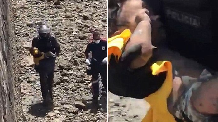 Ibu Bejat! Anaknya Sendiri yang Masih Berusia 7 Bulan Dilempar dari Atas Jembatan, Untung Selamat!