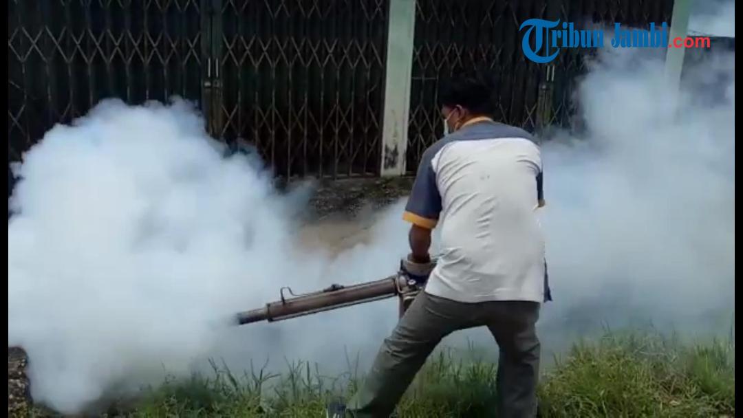 meningkatnya-kasus-dbd-di-kota-jambi-membuat-beberapa-tempat-warganya-melakukan-fogging-di-jelutung.jpg