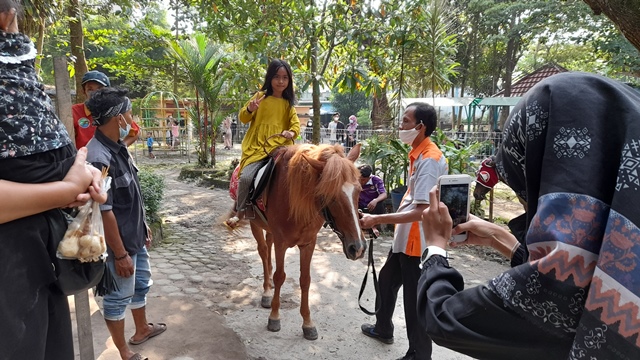 menunggang-kuda-di-kebun-binatang-taman-rimba-jambi-di-buka-kembali.jpg