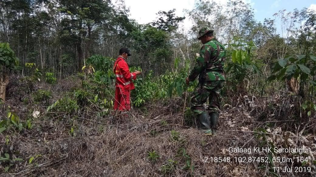Musim Kemarau dan Ada 16 Titik Hotspot, Kabupaten Sarolangun Tetapkan Status Siaga Karhutla