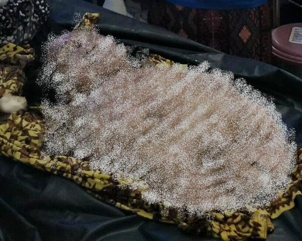 Diterkam Buaya, Nenek Warga Tebo Ulu Ditemukan Dalam Kondisi Dua Kaki Lenyap