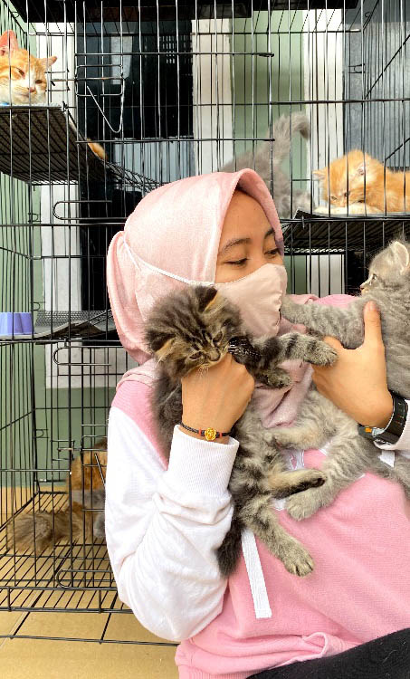 Saat Niva Beri Perhatian Lebih Merawat 10 Kucing saat Pandemi Covid-19, Beri Vaksin dan Gizi