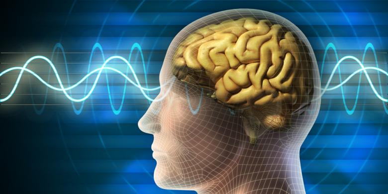 Tidak Perlu dengan Belajar, Miliki Otak Seperti Albert Einstein Cukup dengan Melatih Hal ini