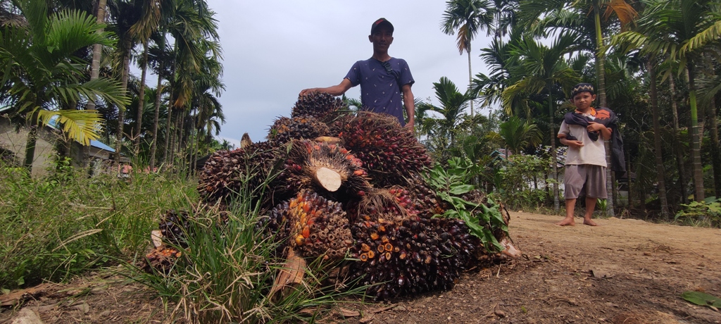 para-petani-sawit-di-tanjab-timur.jpg