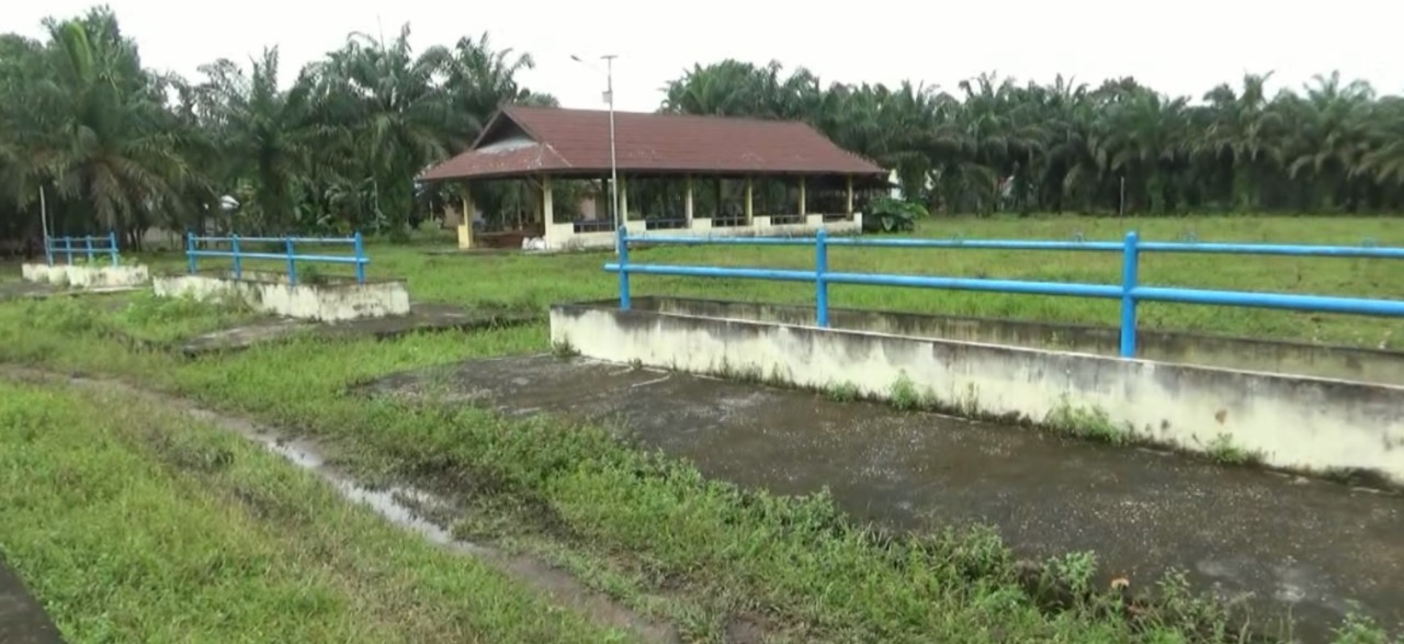 Pedagang Ternak Beralih Berjualan di Media Sosial, Pasar Ternak di Tanjabtim Ditinggal Penjual