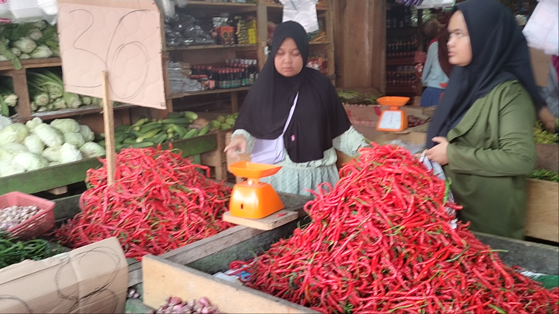 Tekan Harga Cabai, TPHP Sarolangun Akan Bantu Petani Kembangkan Komoditi Cabai